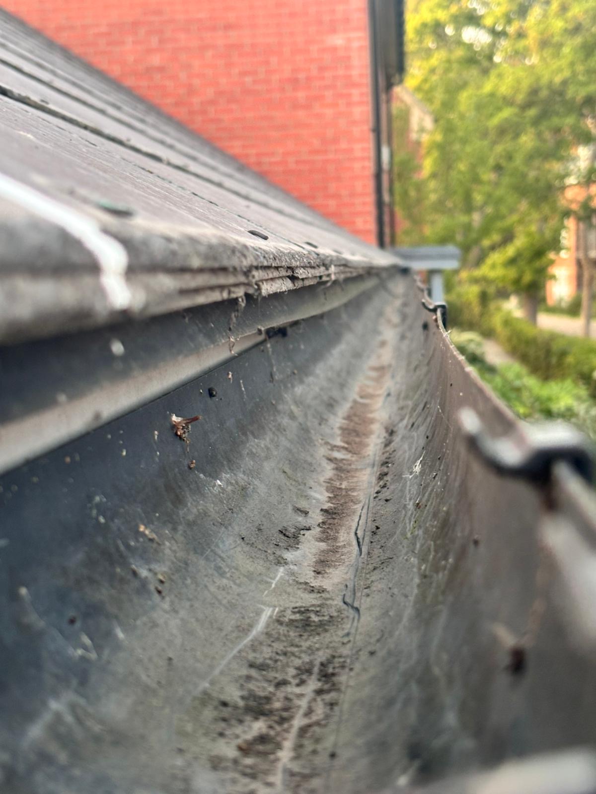 Professional Roof Repairs