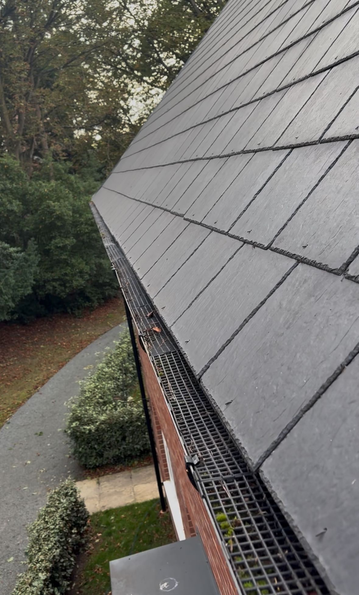 Professional Gutter Cleaning